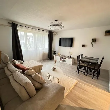 Ciconia : Centre-ville Mulhouse, Parc Nouveaux Bassins A Proximite