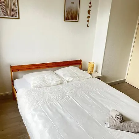 Ciconia : Centre-ville Mulhouse, Parc Nouveaux Bassins A Proximite Appartement Mulhouse