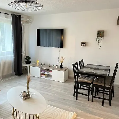 Appartement Ciconia : Centre-ville Mulhouse, Parc Nouveaux Bassins A Proximite Mulhouse