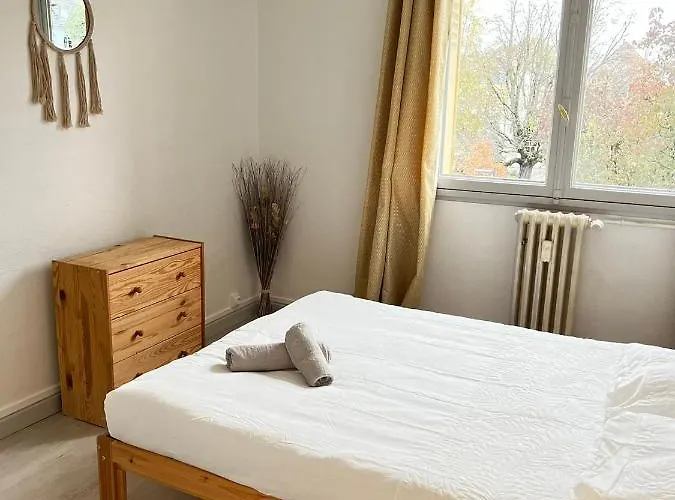 Ciconia : Centre-ville Mulhouse, Parc Nouveaux Bassins A Proximite Appartement