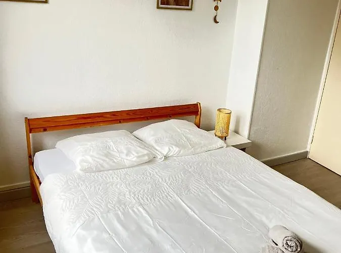 Ciconia : Centre-ville Mulhouse, Parc Nouveaux Bassins A Proximite Appartement Mulhouse